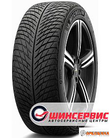 255/40 R20  101W  Michelin  Pilot Alpin 5 