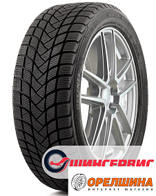 225/55 R19  99H  Delinte  Winter WD6 (shin)