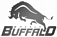 Buffalo