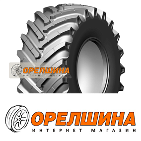 30,5/0 R32  172A8  Belshina  Ф-81